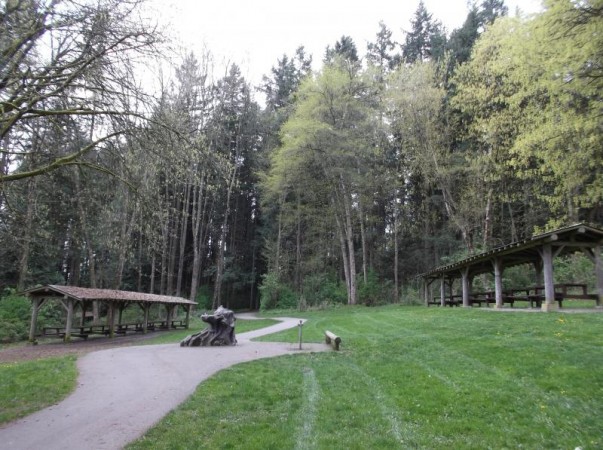 Redwood Park Picnic Area