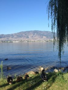 Osoyoos here we come… Circle Tour Day 2 and 3