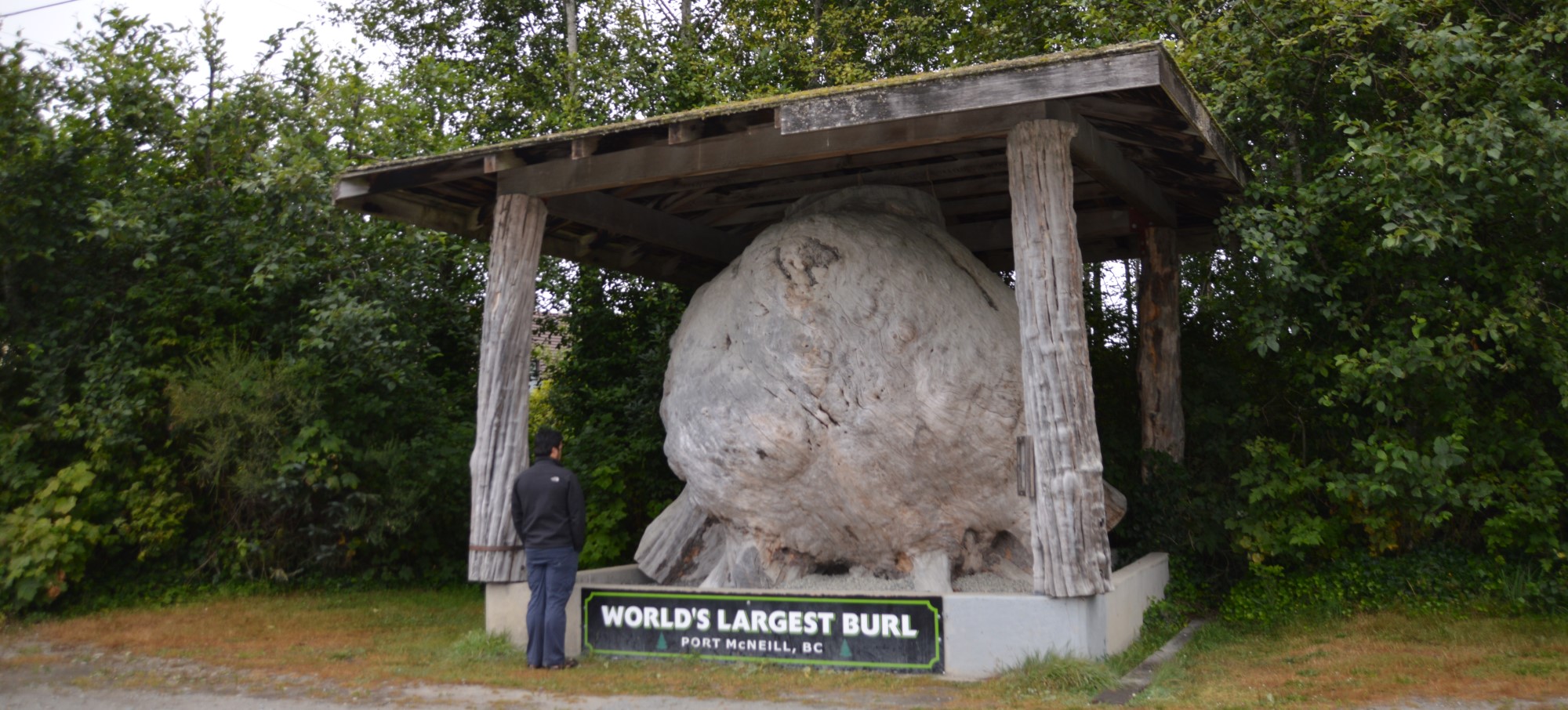 British Columbia’s Biggest Attractions Are Often in the Smallest Places