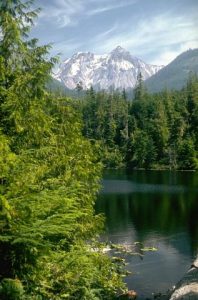 Hidden Gem Waterways for Fishing in British Columbia