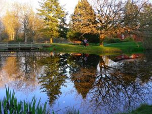 Daytripping in Campbell Valley Park, Langley, British Columbia