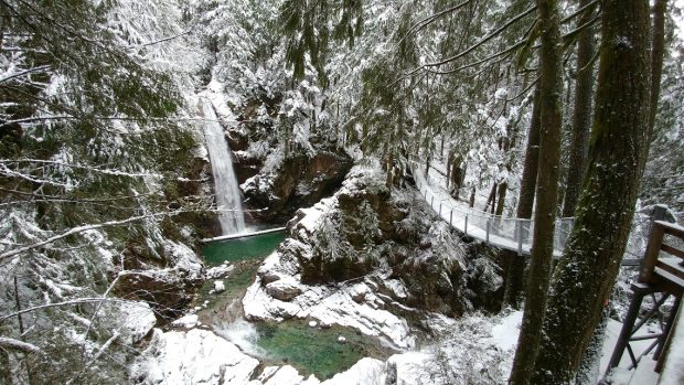 Cascade Falls Regional Park in Winter