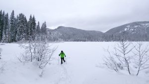 Three Family-Friendly Snowshoe Trips in Manning Provincial Park, British Columbia
