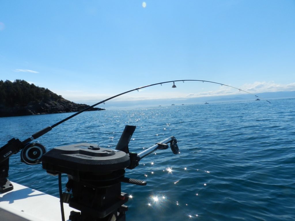 Approaching Bechy Head with Olympic Mountains in the Background. A Popular Fishing Spot for Chinook and Coho