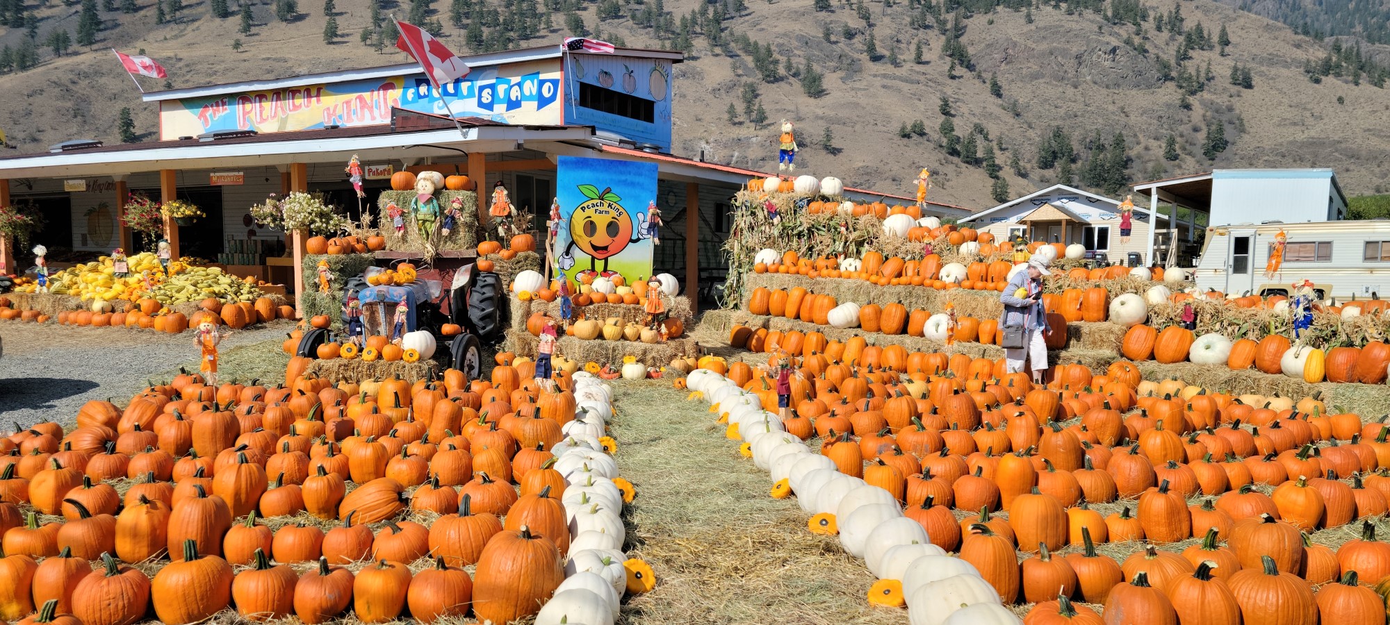 Celebrate the Fall at British Columbia’s Fraser Valley Festivals & Farmers’ Markets