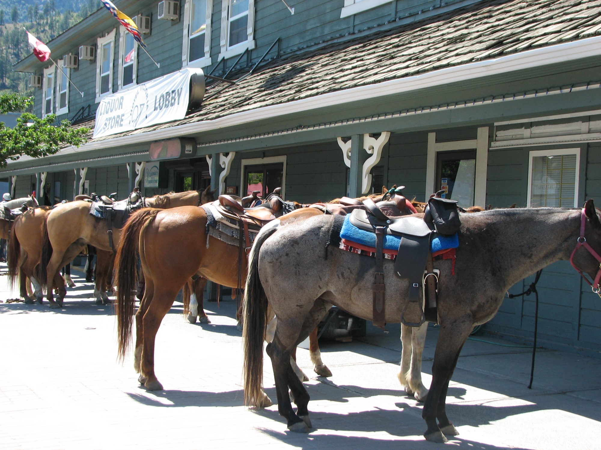 Lillooet Sea to Sky Country Vancouver, Coast and Mountains Travel
