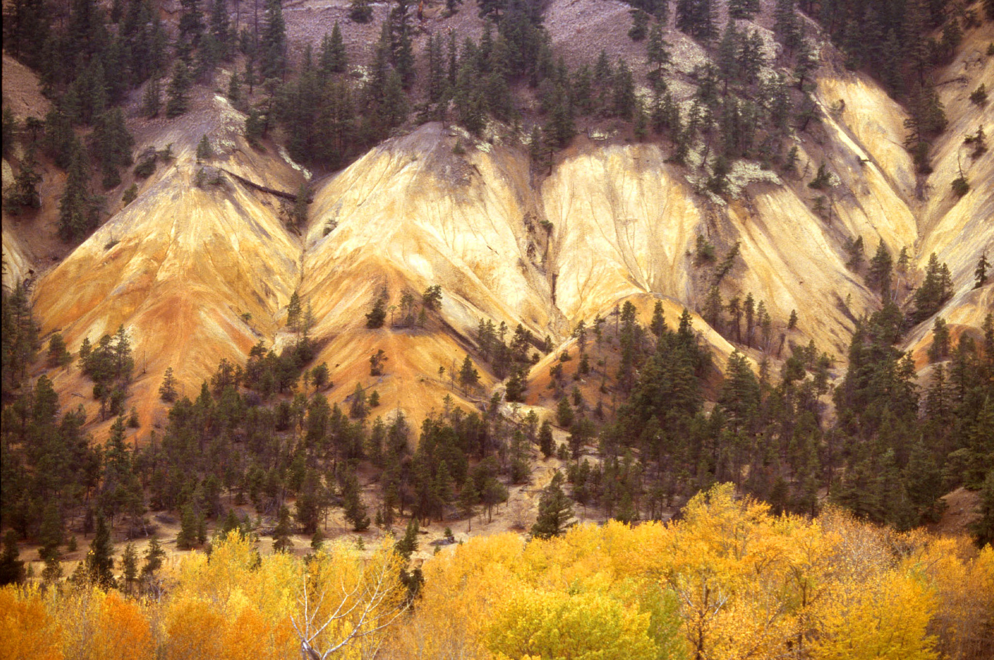 Cache Creek | Gold Country | Thompson Okanagan | Travel British Columbia