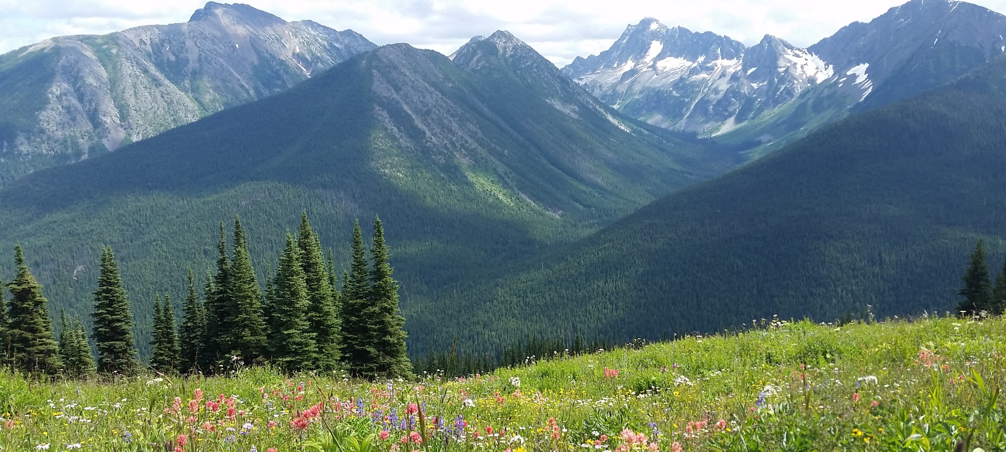 Plan a Hiking Trip or Two in E.C. Manning Provincial Park, British Columbia