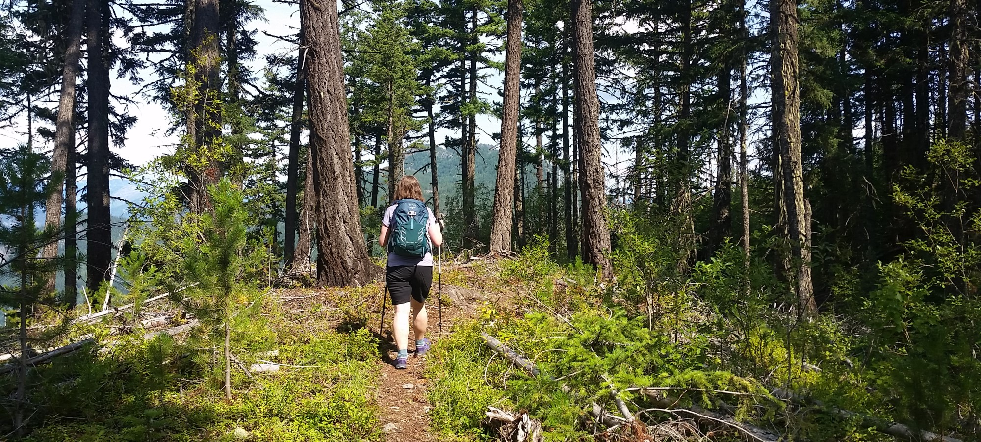 Tikwalus Heritage Trail: An Historic Route North of Hope, BC