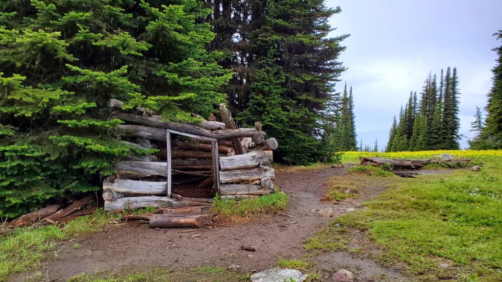 Shepherd's Hut, Wells Gray Provincial Park