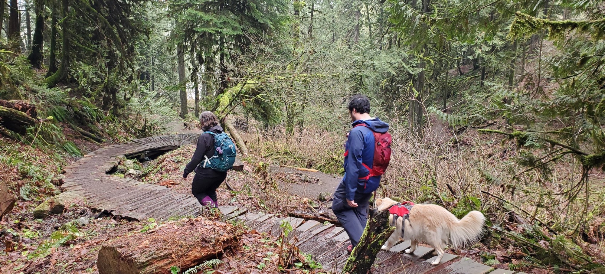 Winter Hiking at Lexw Qwò:m Park, Chilliwack, British Columbia 