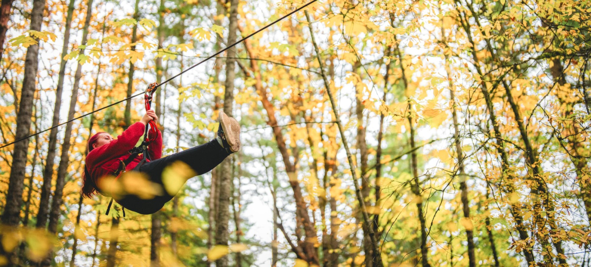 Places to Zip Line in British Columbia